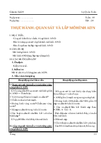 Giáo án lớp 9 môn Sinh học - Tuần 10 - Tiết 20 - Thực hành : Quan sát và lắp mô hình adn