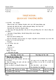 Giáo án lớp 9 môn Sinh học - Tuần 14 - Tiết 28 - Thực hành : Quan sát thường biến