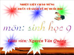 Giáo án lớp 9 môn Sinh học - Tiết 51: Hệ sinh